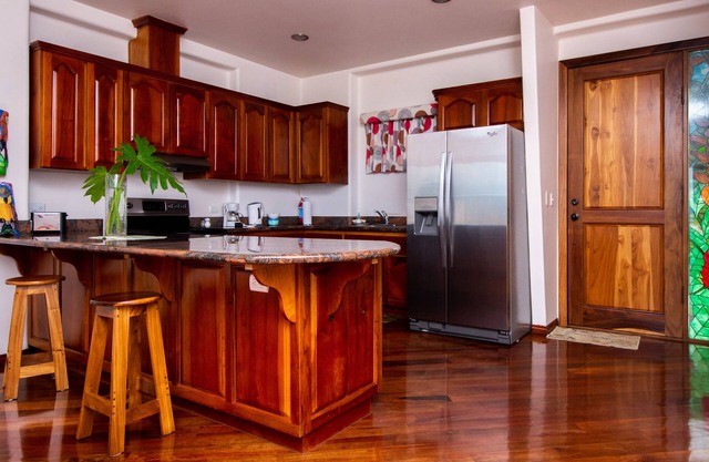 LAKE ARENAL VIEWS NUEVO CONDO 1B / 1 B COCINA COMPLETA