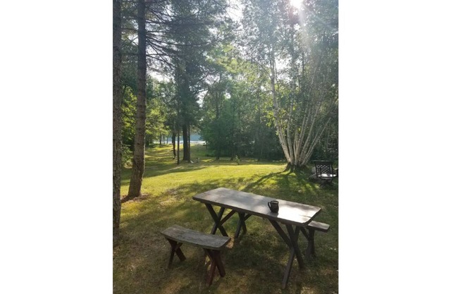 Lake cabin surrounded by nature and peacefulness