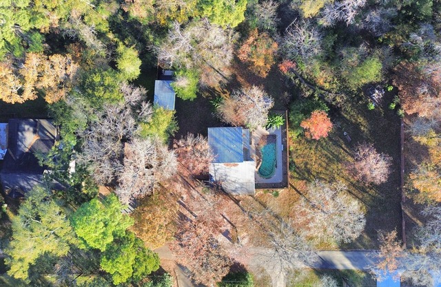 Lake Conrore Pool Oasis with Tiny Home