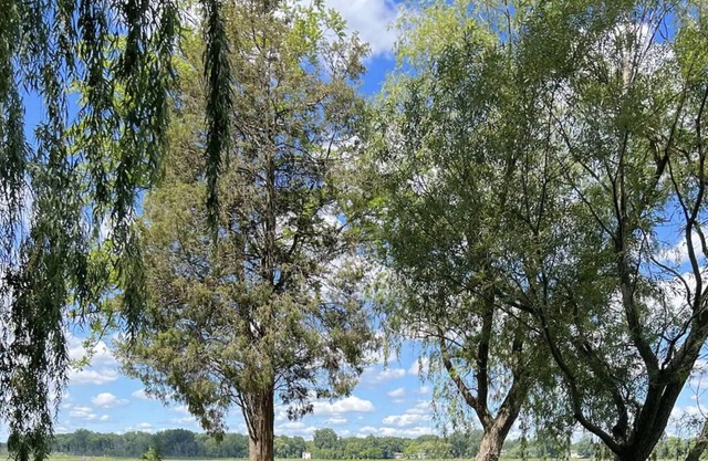 Cabaña rústica del lago!