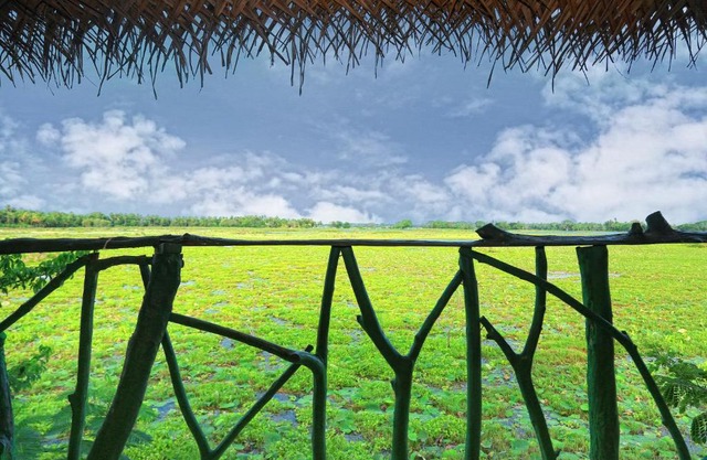 Lake Face Cabana