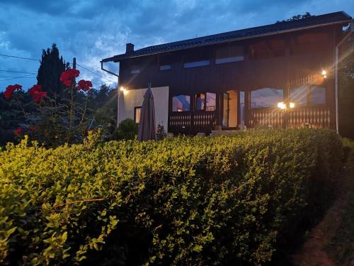 Lake House Violeta