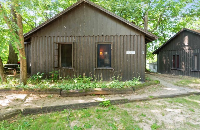 Lake Huron Log Cabin #5