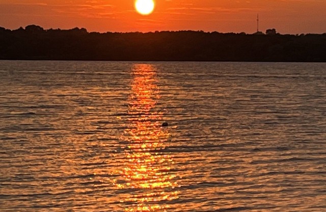 Lake life at its best! Work or family getaway. Nature and Water right out back!