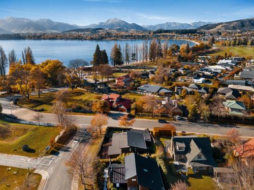 Lake Living That Wanaka Tree