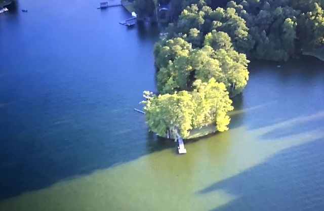 LAGO MARTIN CABIN