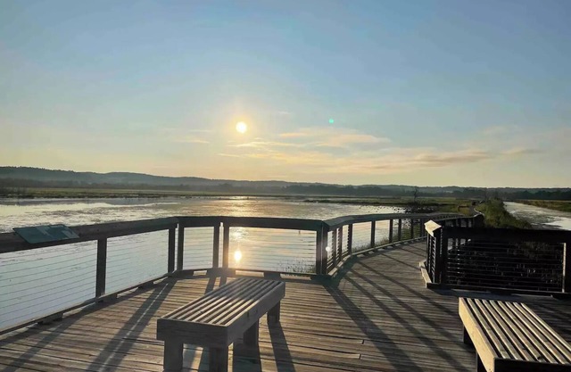 Lake MI -M22 - World Class Golf, Beach and Birds!