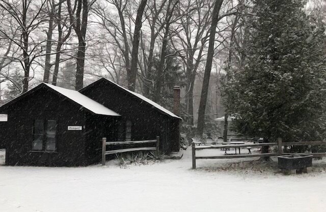 Lake Michigan Log Cabin #4