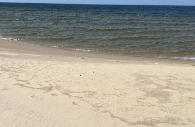 Lake Michigan Waterfront! Semi-private beach steps away!