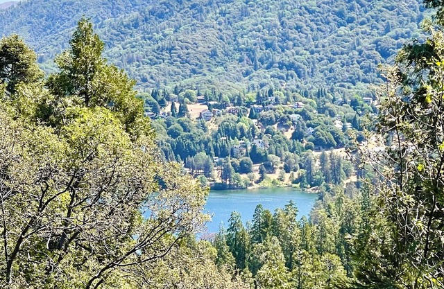 Lake, Mountain and Forest View Cabin in Crestline