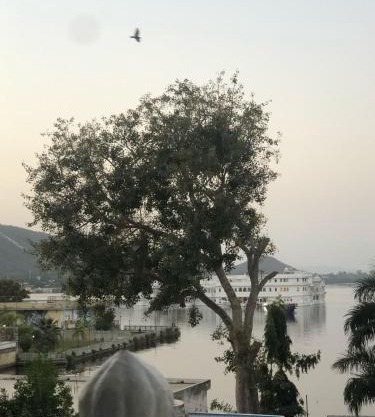 Lake Pichola Hibiscus Hotel
