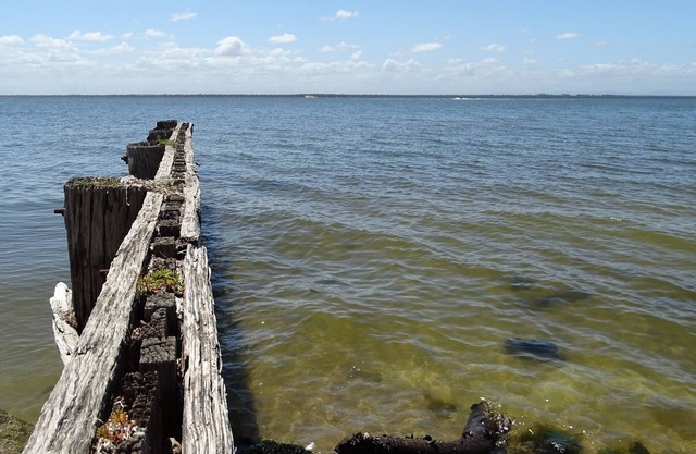 Lake St House. Large holiday home opposite Lake Victoria, views over the lake!