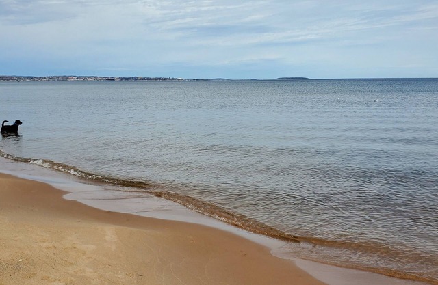 Relájese en la playa en lugar de un hotel Marquette - Plazas 1-4