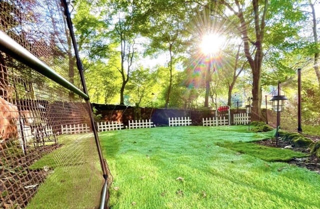 Lake View! Dog-Friendly Trip/Cottage with Dog Run/Well-Equipped Kitchen