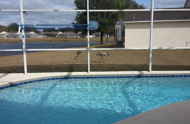 Vista al lago Inicio / Piscina privada / WiFi gratis cerca de Disney World