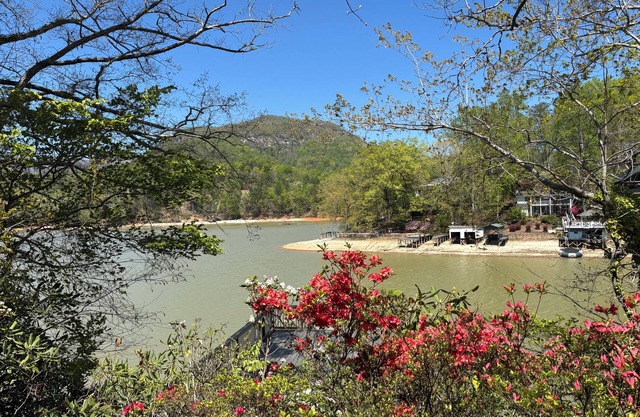 LAKEFRONT: Escape to the Lake - Ven a flotar hasta que tu corazón esté contento