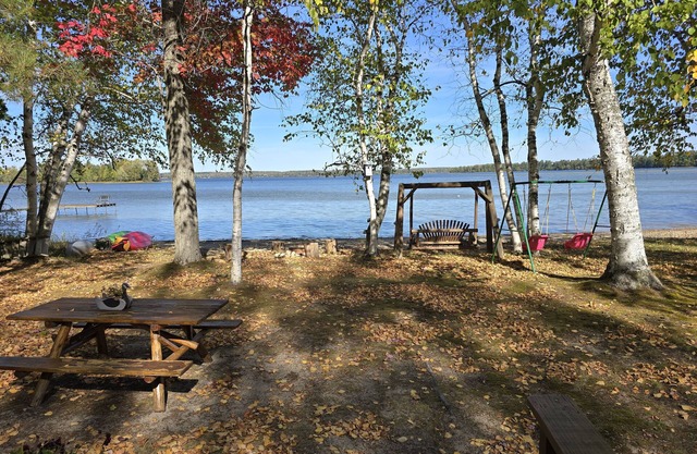 Lakefront Charming 2-bedroom cottage on Douglas Lake with WiFi access
