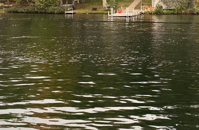 Lakefront Cottage- Close to Timber Stone Golf and Pine Mountain