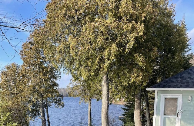 Lakefront cottage getaway. Fully furnished 3-bedroom log cabin.
