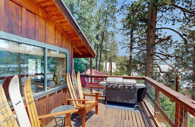 Lakefront, neighboring cabins w/ beautiful views, deck with views