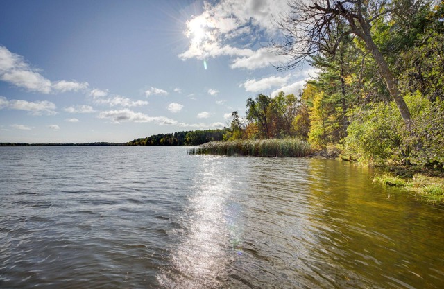 Lakefront Park Rapids Cabin w/ Grill & Fire Pit!