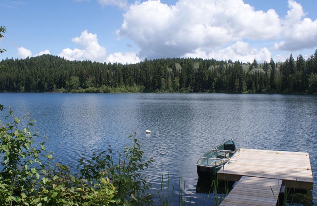 Privacidad frente al lago en la autopista de pesca de Canadá (Hwy 24) en BC Cariboo