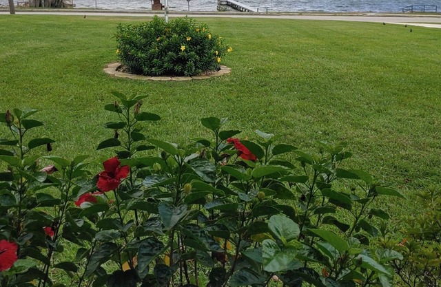 Lakefront private home with beach, dock and party area and large back yard