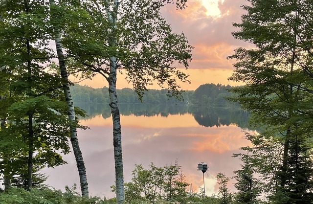 LakEllen Cottages Vintage Cottage on Lake Ellen