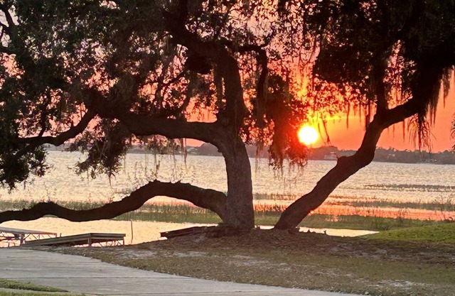 Lakeview Cottage Escape. Close to BOK Tower Gardens, Legoland and Disney