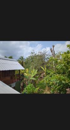 Lala's Place