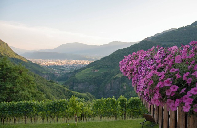 Langegger 1956, Quiet, cozy vacation apartment, 10 minutes by car from Bolzano