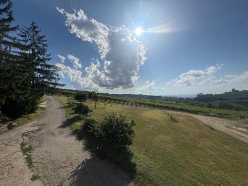 Langhe da cartolina