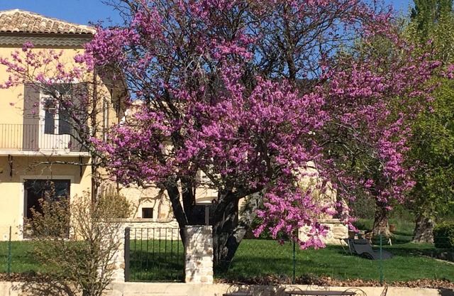 Gran casa de campo renovada en Drôme Provençale para varias familias o amigos.