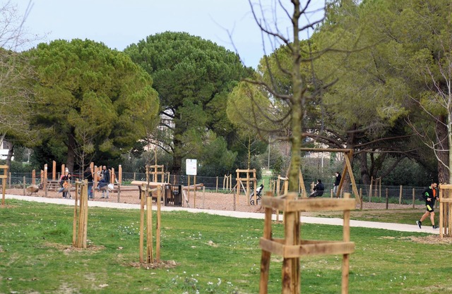 Large air-conditioned apartment between the beach and the center of Montpellier