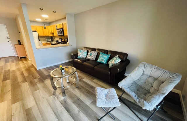 Large, Clean, Comfortable, 1BR