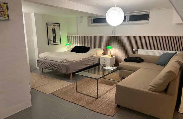 Large basement apartment in the middle of Odense