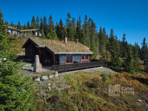 Large cabin at Sjusjøen with sauna, fireplace, view and cross-country skiing