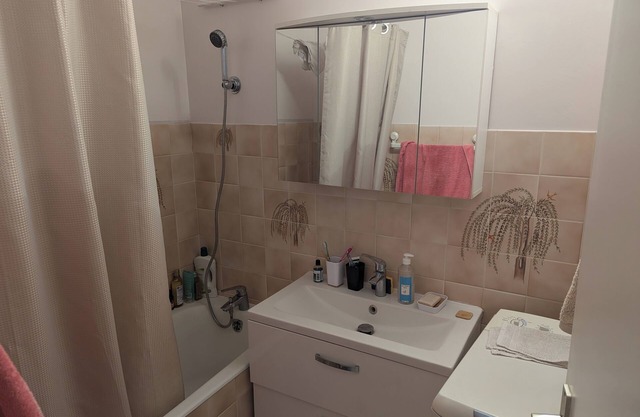 Large, comfortable apartment in Dijon, well located and well exposed.