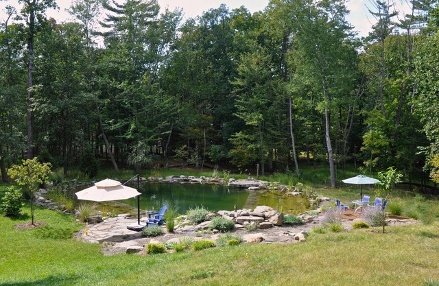 LARGE COZY Sleeps 7 Main House + Opt. Apt 4 More (+Fee) Pool/Pond!