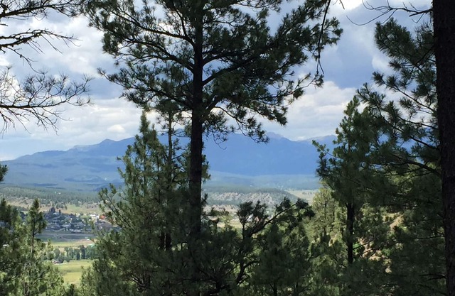 Para toda la familia gran hogar en los árboles cerca de las atracciones con grandes vistas!