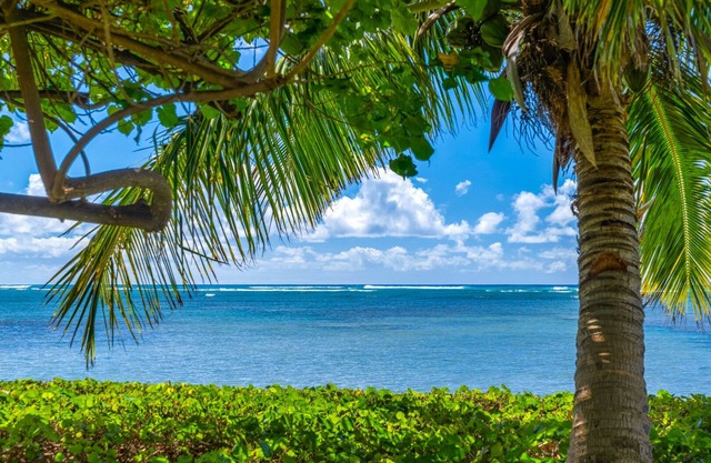 Large Hawaiian Style Plantation property.
