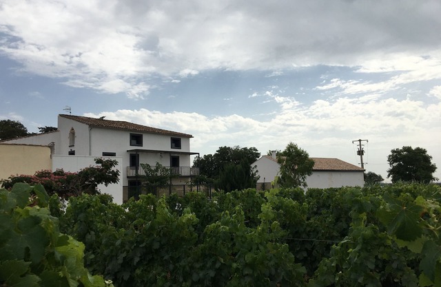 Gran casa en el corazón de viñedos orgánicos.