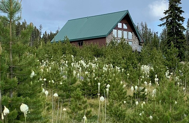 Large mountain home with stunning views of Georgetown Lake and Pintler Range