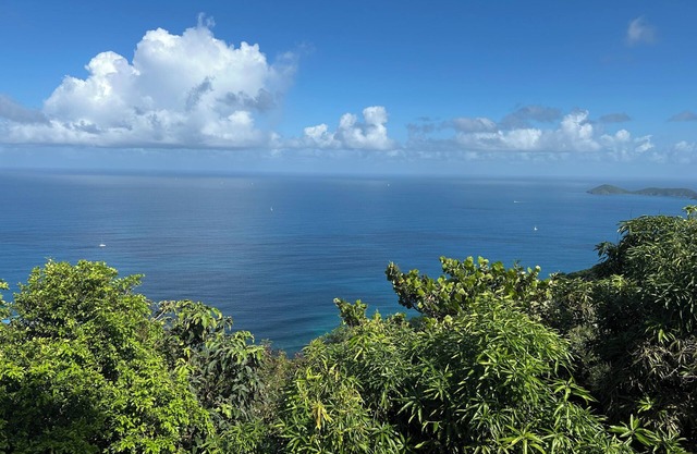 Large Studio with Spectacular Views of the Atlantic