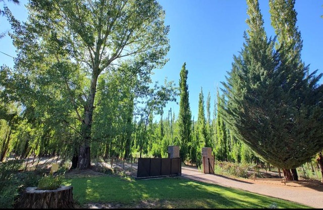 Las margaritas