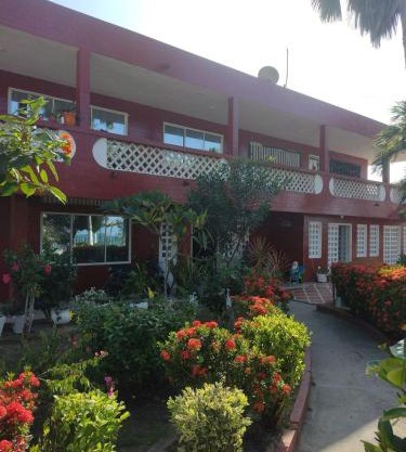 Las Margaritas Frente al Mar 2