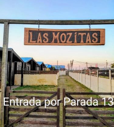 Las Mozitas 1