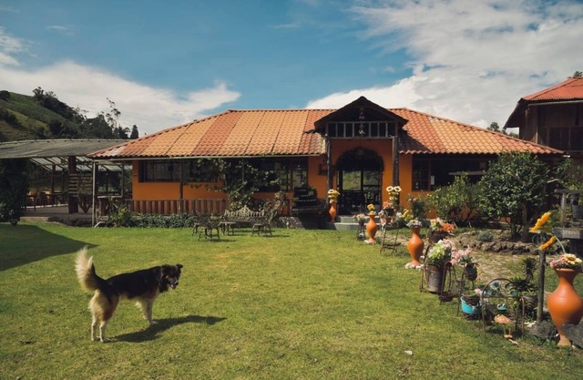 Las Orquideas Runtun Lodge