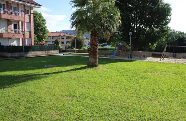 Las palmeras