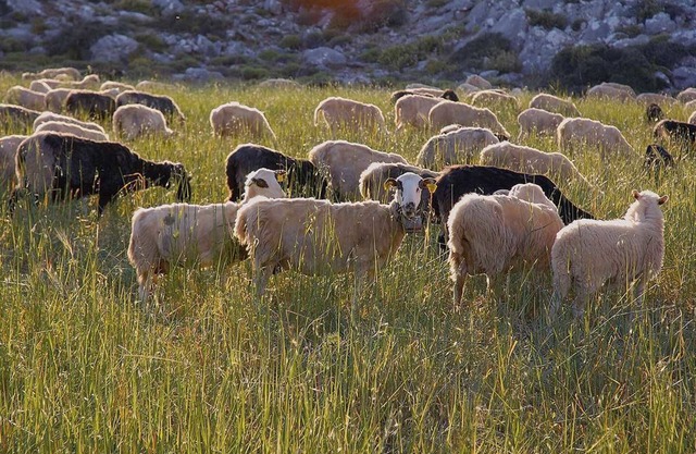 Lasinthos Eco Park